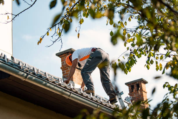 Quick and Trustworthy Emergency Roof Repair Services in Keeler Farm, NM